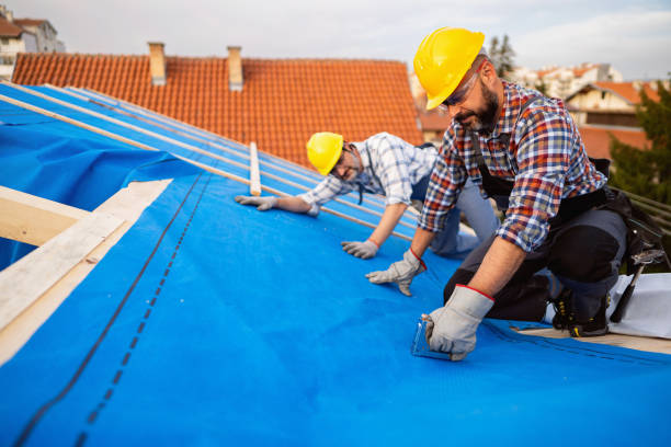 Best Roof Gutter Cleaning  in Belvedere, SC